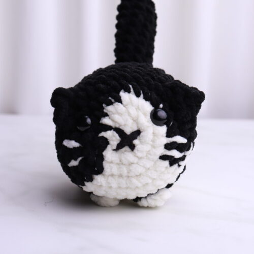 Gato Blanco y Negro