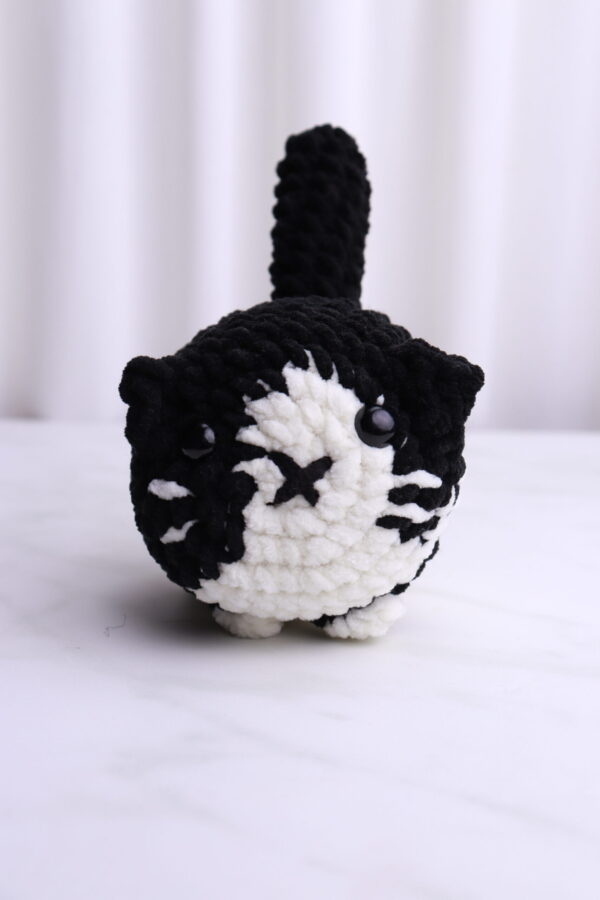 Gato Blanco y Negro