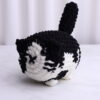 Gato Blanco y Negro