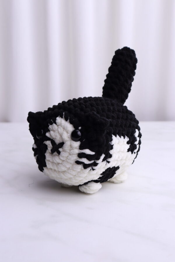 Gato Blanco y Negro