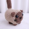 Gato Siamés Café