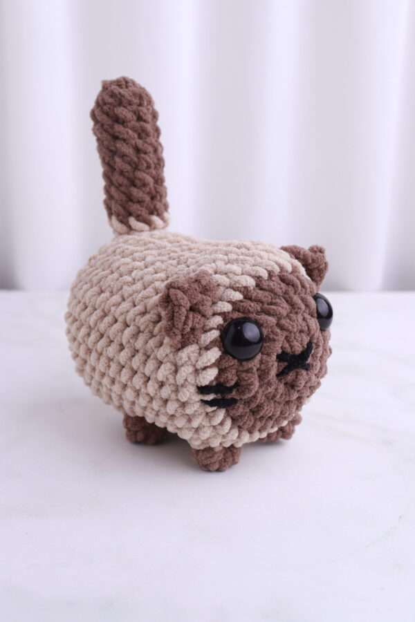 Gato Siamés Café