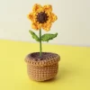 Maceta de Girasol