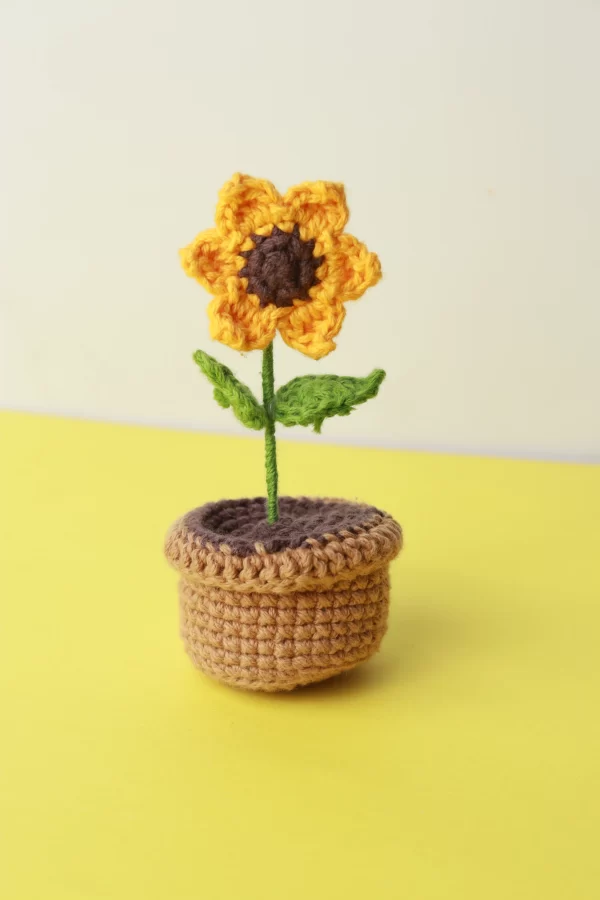 Maceta de Girasol
